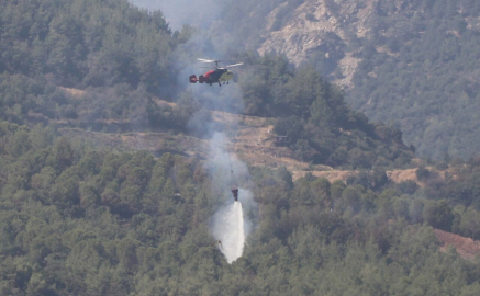 Aydın'daki orman yangını 4'üncü gününde (2)