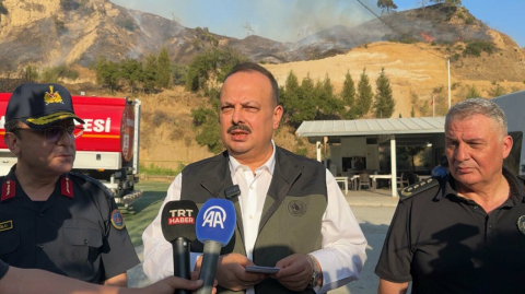 Aydın Efeler'de orman yangını (2)