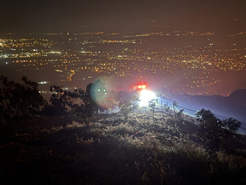 Aydın Efeler'de orman yangını (3)