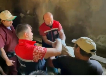 Erzurum'da 120 görevli 817 bin hayvanın yüzde 60'ını aşıladı