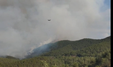 Karabük’te orman yangını 2’nci gününde (2)