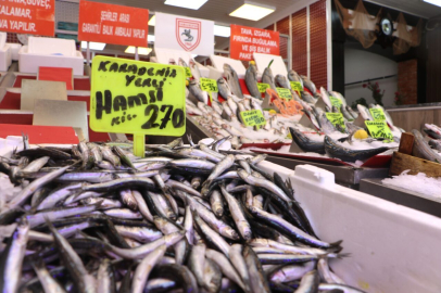 Samsun'da av sezonun ilk balıkları tezgaha çıktı