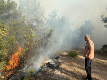 Kastamonu'daki orman yangınları 2'nci gününde