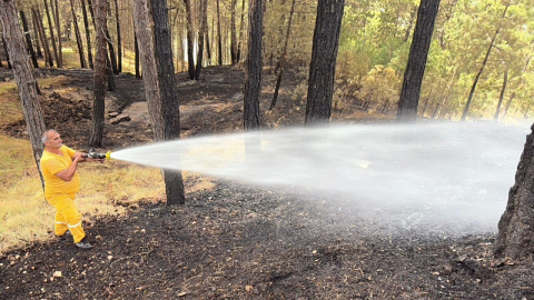 Bakan Yumaklı: Kastamonu ve Karabük’te orman yangınları büyük ölçüde kontrol altında (2)