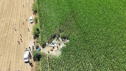 Eğitim uçağı mısır tarlasına düştü; öğrenci pilot Berfu hayatını kaybetti (2)