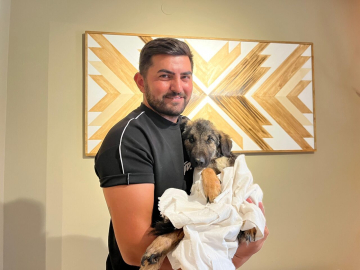 Trafik kazasında felç kalan yavru köpek 'Nazlı'yı tedavi ettirip sahiplendi