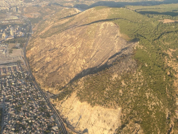 Aydın'daki orman yangını 17 saat sonra kontrol altına alındı