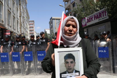 'Kardeşimi üniversite okurken kandırıp dağa götürdüler'