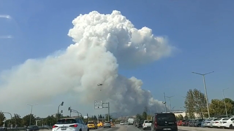 Bursa’da orman yangını
