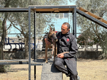 'Afet ve acil kurtarma' köpekleri göreve hazır