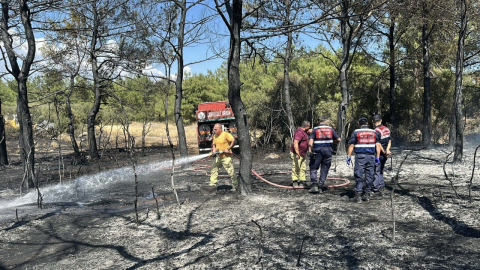 Çanakkale'de orman yangını (3)