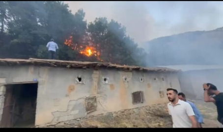 Hakkari'de çıkan orman yangını kontrol altına alındı