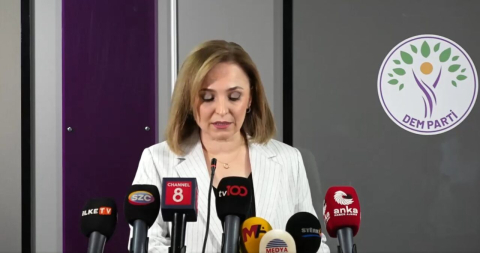 DEM Parti’li Doğan: Niye bu komisyonun hala bir yol haritası yok