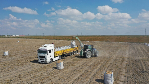 Erkoyuncu: 2027'de patates tohumunu dış alıma ihtiyaç duymadan üreteceğiz