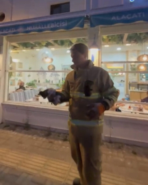 Otomobilin motoruna sıkışan yavru kedi kurtarıldı