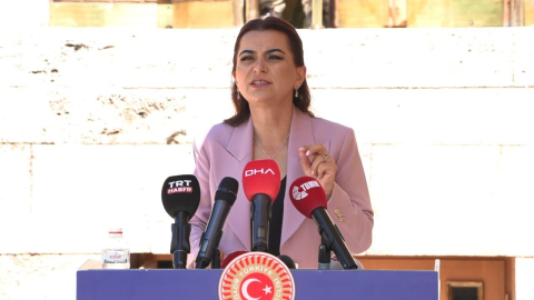 DEM Parti'li Koçyiğit: Komisyon bir an önce Ada'ya gitmeli