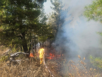 Denizli'de orman yangını, 2 saatte kontrol altına alındı