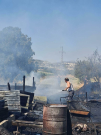 Manisa'da ahırda çıkan yangında 21 koyun öldü