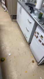 Diyarbakır’da doktora saldırı: 2 gözaltı