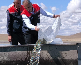 Kars’ta göl ve göletlere 500 bin yavru sazan bırakıldı