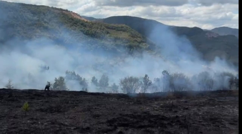 Fındık bahçesinde çıkan yangın, ormana sıçramadan kontrol altına alındı