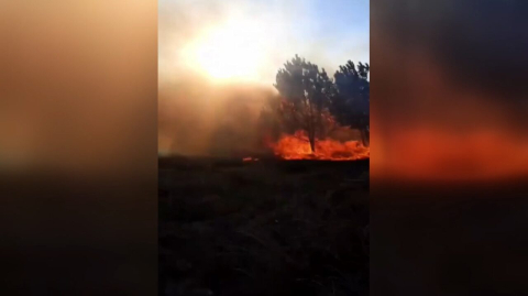 Bursa’da orman yangını