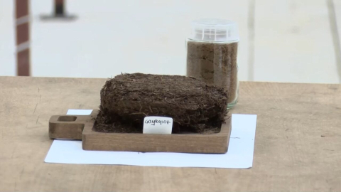 Çay atığından topraksız tarım; ‘kokopit’e alternatif ‘çaykopit’