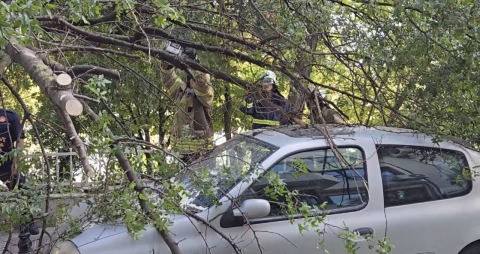 İstanbul - Kadıköy’de yola ağaç devrildi, 2 otomobilde hasar oluştu