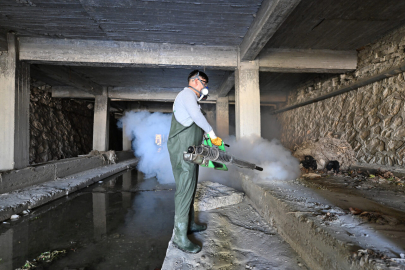 'Sığırlarda görülen üç gün hastalığını önlemenin yolu, sinekle mücadele'