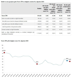 TÜİK: Tarım ürünleri üretici fiyatları aylık yüzde 3,45 azaldı