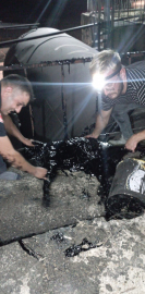 Zift kazanına düşen köpek öldü