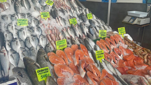 Ege'de balık bereketi; lüfer bile ağlara takıldı