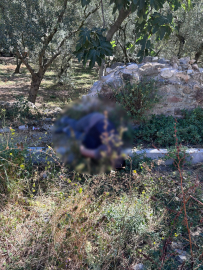 İznik'te tarihi surların dibinde erkek cesedi bulundu (2)