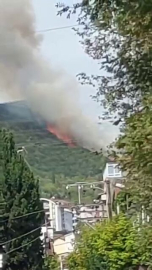 Kocaeli'de orman yangını