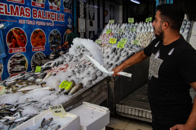 Balık bollaştı, fiyatlar düştü