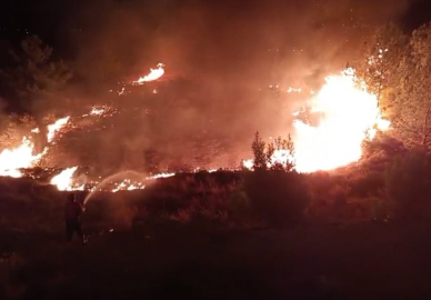 Düğünde atılan havai fişekler yangın çıkardı; alevler ormana sıçramadan söndürüldü