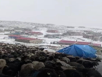Erzurum'un yüksek kesimlerine eylül ayının ortasında kar yağdı