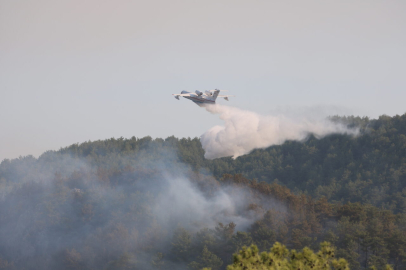 Alanya'daki orman yangınında 3'üncü gün (5)