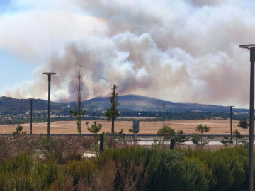 Çanakkale'deki orman yangını kontrol altında