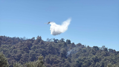 Muğla Milas'taki orman yangınında 2'nci gün (2)