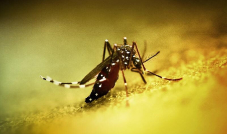 Çin'de halk sağlığı acil durumu ilan edildi