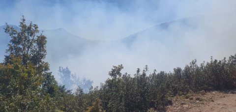 Konya'da orman yangını kısa sürede söndürüldü