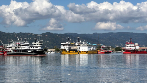 Hava şartları normale döndü, denize açılan balıkçılar bol miktarda hamsiyle geldi