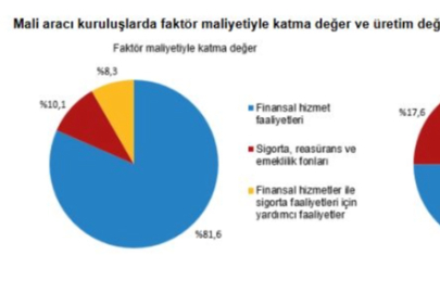 TÜİK: 2024'te 21 bin 463 mali aracı kuruluş faaliyet gösterdi