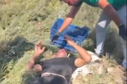 Otomobil, bahçede çalışan işçilere çarptı; 1 ölü, 3 yaralı