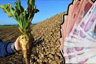 Şeker pancarı alım fiyatı ton başına 2 bin 975 TL olarak belirlendi