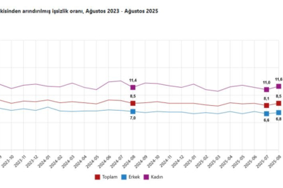 TÜİK: İşsizlik oranı ağustosta yüzde 8,5 oldu