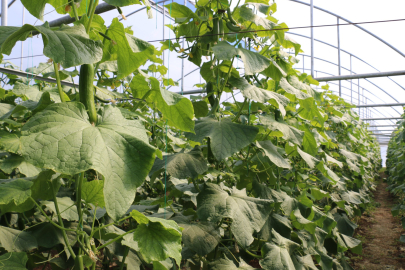 Bir şehrin ekonomisine can verecek yol haritası...