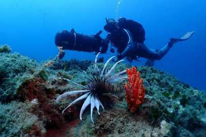 Kuşadası'nın sualtı dünyası, dalış tutkunlarının gözdesi oldu