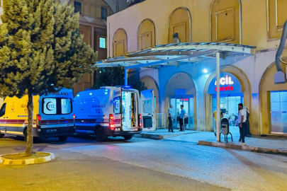 Mardin’de otomobilin çarptığı eşek ile üzerindeki kişi yaralandı